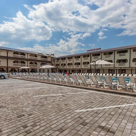 золотий павлін *