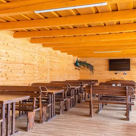 золотий павлін Hotel Solotvyno