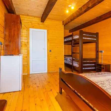 золотий павлін Solotvina